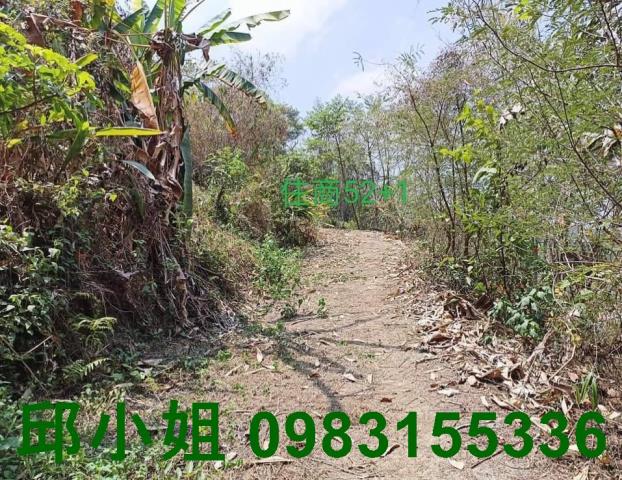 中埔農地-4