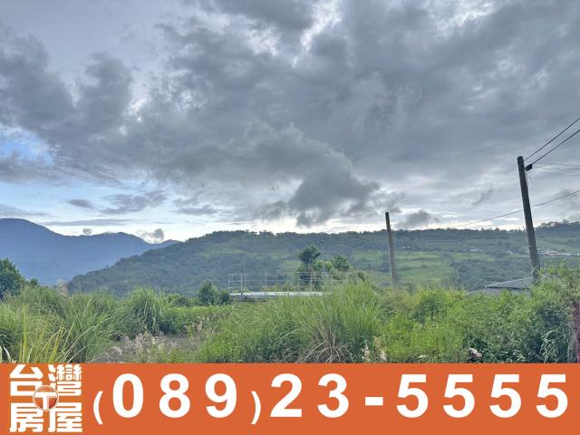 台東農地-5
