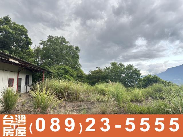 台東農地-6
