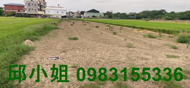 嘉義農地-1