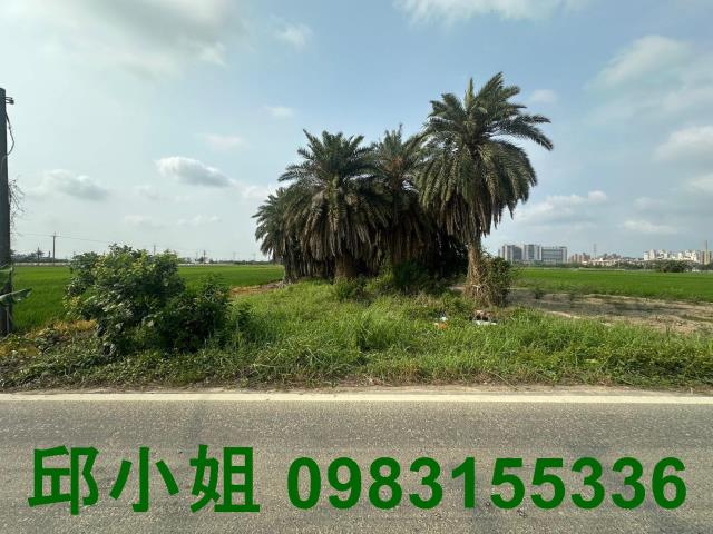 嘉義農地-1