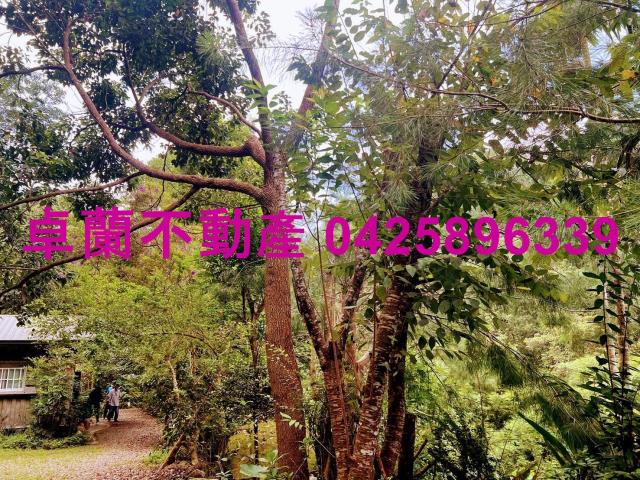 苗栗大湖農地-10