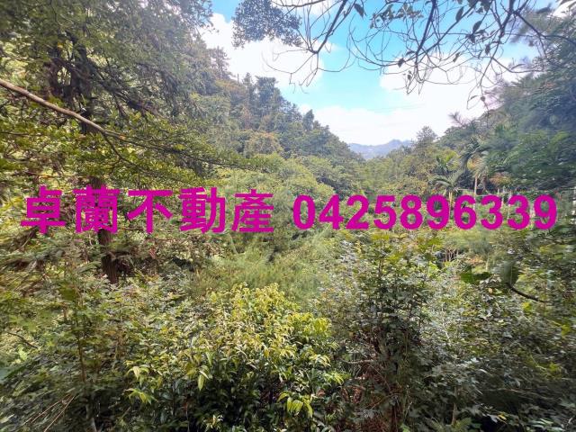 苗栗大湖農地-9