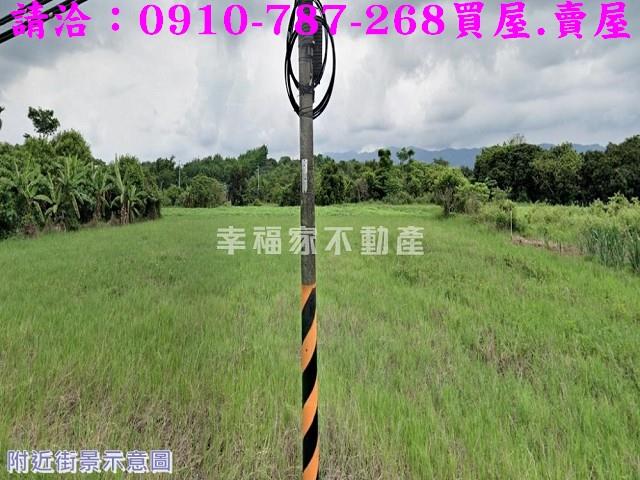左鎮農地-8