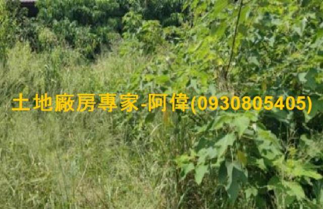 燕巢工業地-1