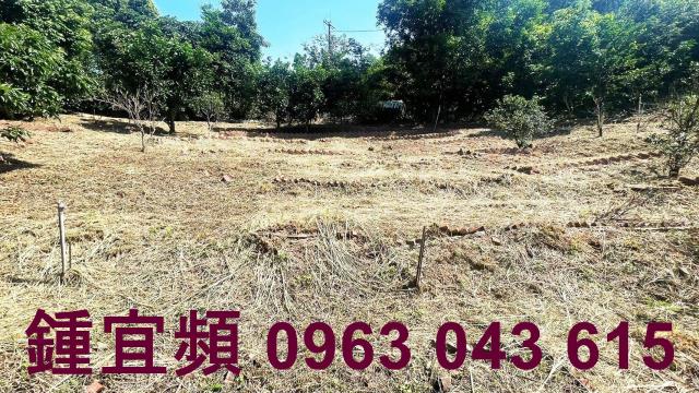 新竹農地-11