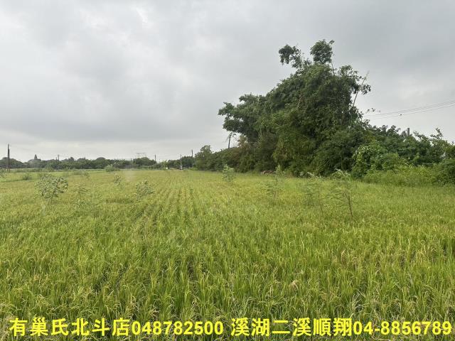 彰化福興農地-3