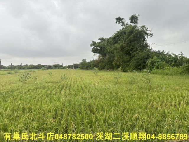 彰化福興農地-4