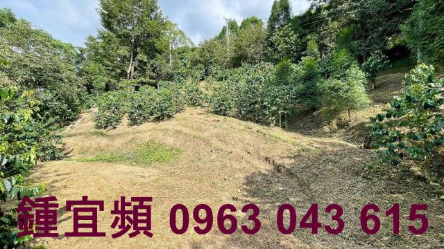 新竹橫山山坡地-11
