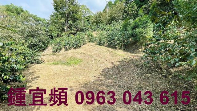 新竹橫山山坡地-12