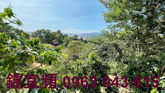 新竹橫山山坡地-15