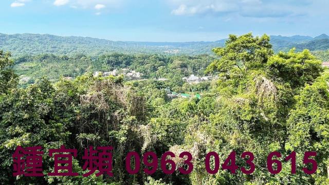新竹橫山山坡地-1