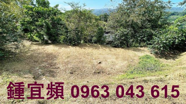 新竹橫山山坡地-3