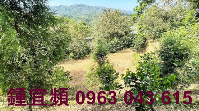 新竹橫山山坡地-4
