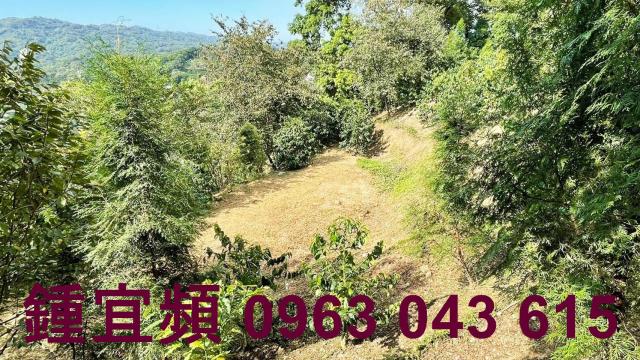 新竹橫山山坡地-5