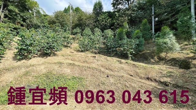 新竹橫山山坡地-8