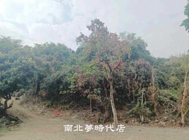 高雄六龜農地-5