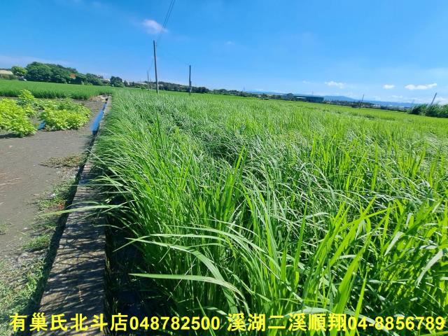北斗農地-7