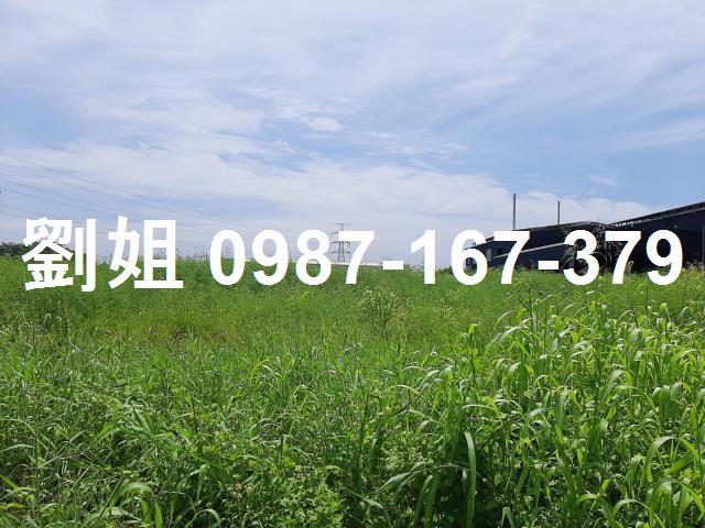 湖內工業地-1