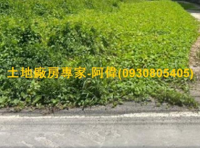 高雄大寮農地-1