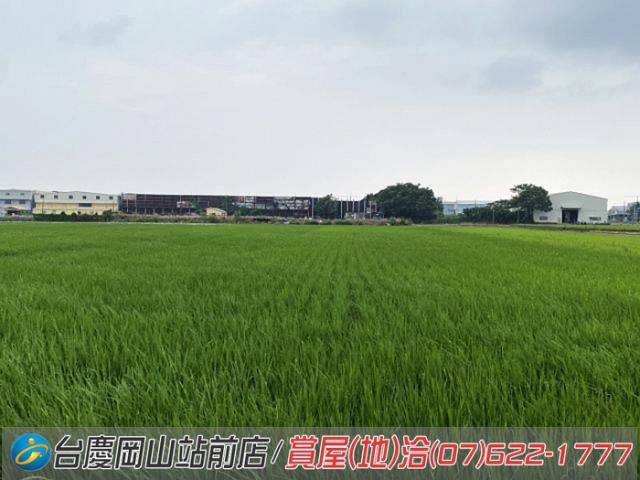高雄橋頭農地-10