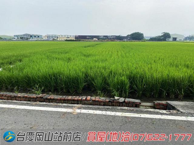 高雄橋頭農地-12