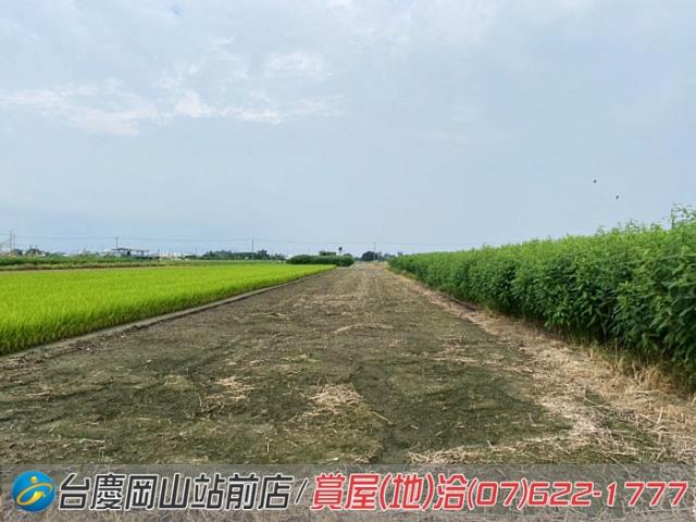 高雄橋頭農地-3