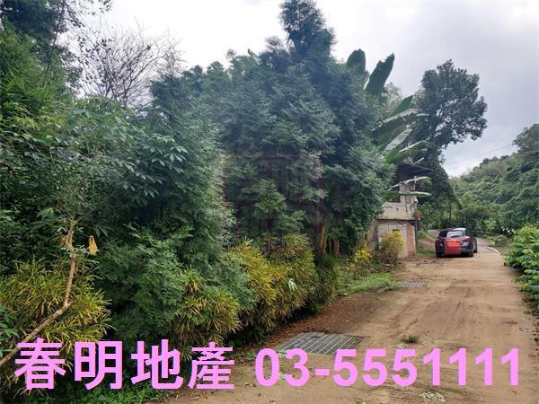 新竹芎林農地-1
