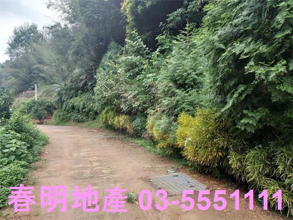 新竹芎林農地-2