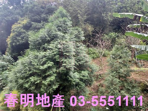 新竹芎林農地-3