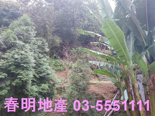 新竹芎林農地-4