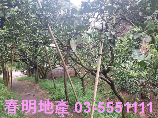 新竹芎林農地-5