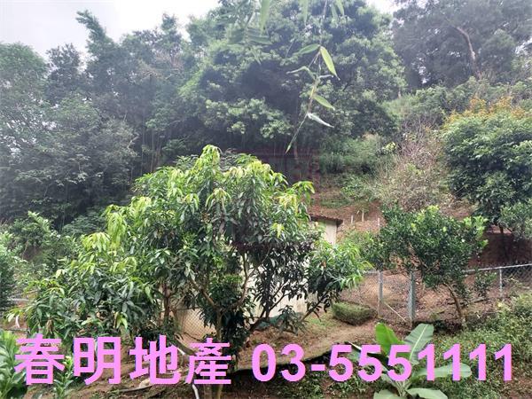 新竹芎林農地-7