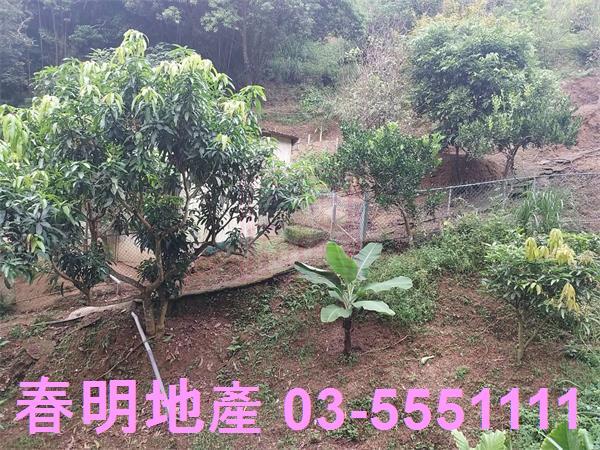 新竹芎林農地-8