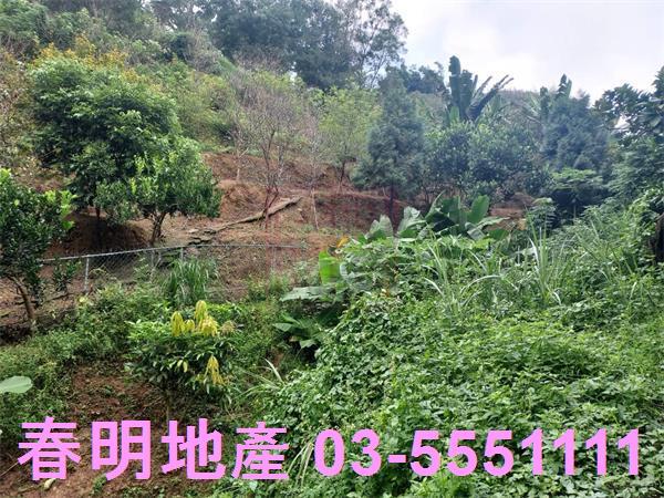新竹芎林農地-9