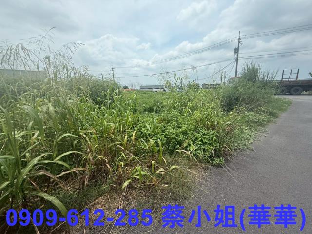 高雄大寮農地-1