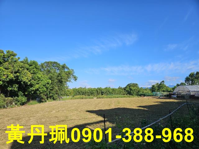 桃園八德農地-6