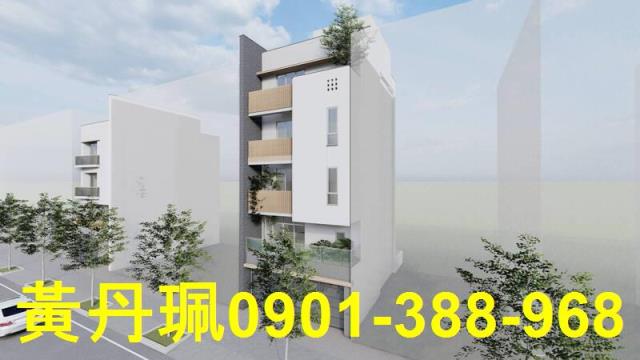 桃園大園建地-1