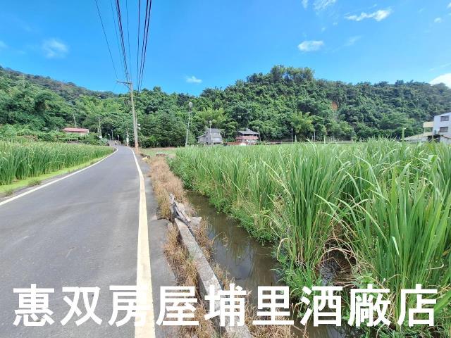 埔里農地-1