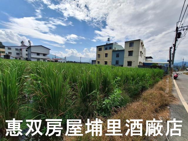 埔里農地-4
