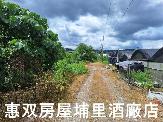 埔里農地-1