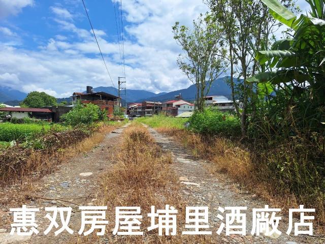 埔里農地-2