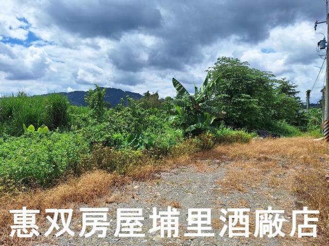 埔里農地-5