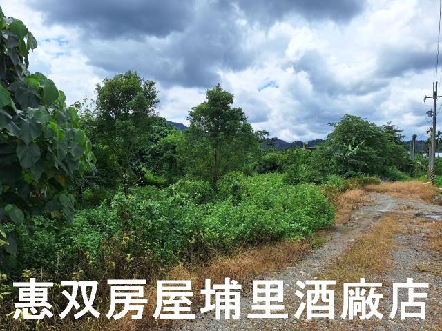 埔里農地-6