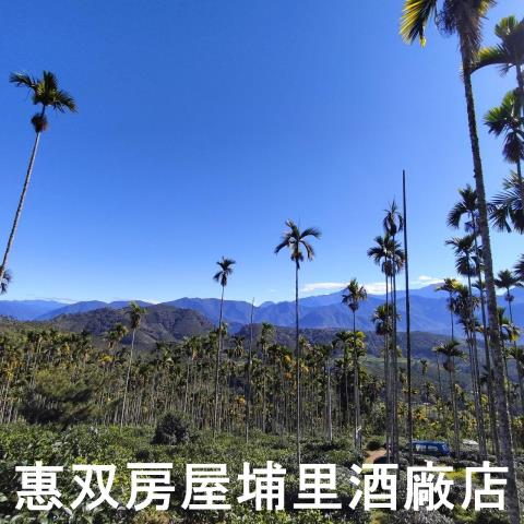 魚池農地-10