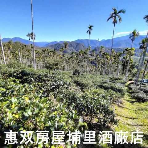 魚池農地-5