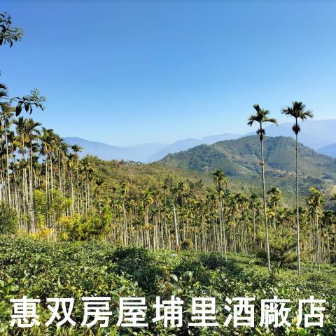 魚池農地-7