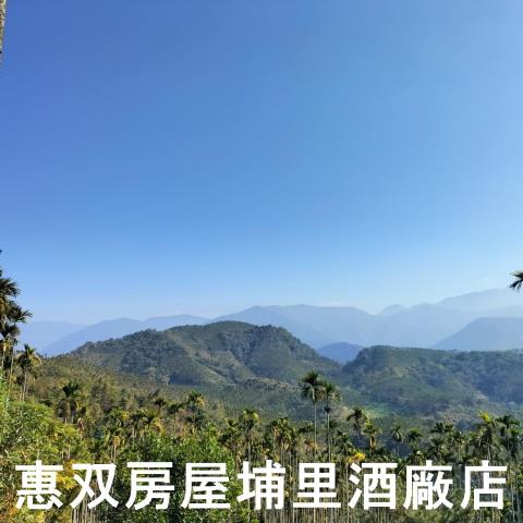 魚池農地-9