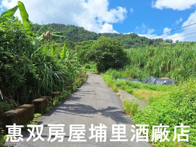 埔里農地-1
