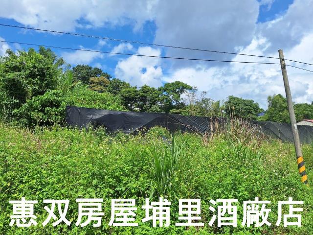 埔里農地-2